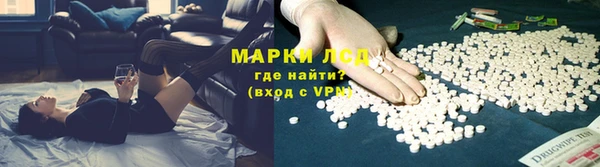 спайс Баксан