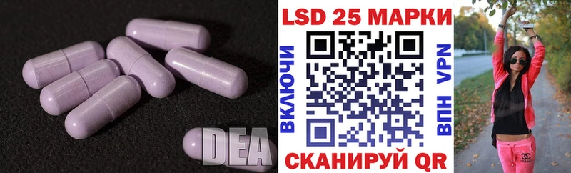 блэк спрут онион  что такое наркотик  Курчатов  ЛСД экстази ecstasy 